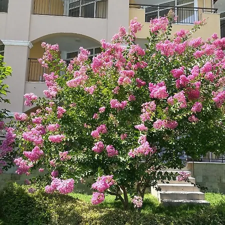 Appartement Midia Grant Resort, Studio Flat *